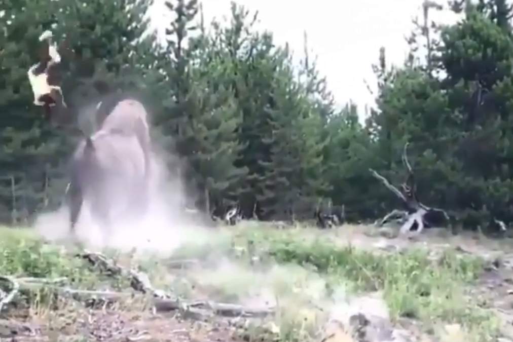 A girl is shown in mid-air after being struck by a bison at Yellowstone National Park on July 22, 2019.