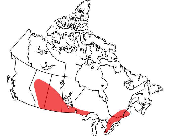 A map of Canada’s ‘Tornado Alley’.