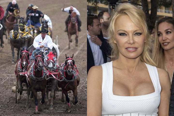 LEFT: Teams compete in a chuckwagon race at the Calgary Stampede in Calgary on July 12, 2010. RIGHT: Pamela Anderson at a fashion show in  Monte-Carlo, Monaco on May 24, 2019.

