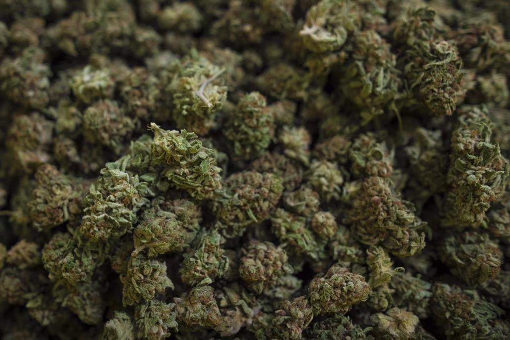 London could have two more pot shops in the future.