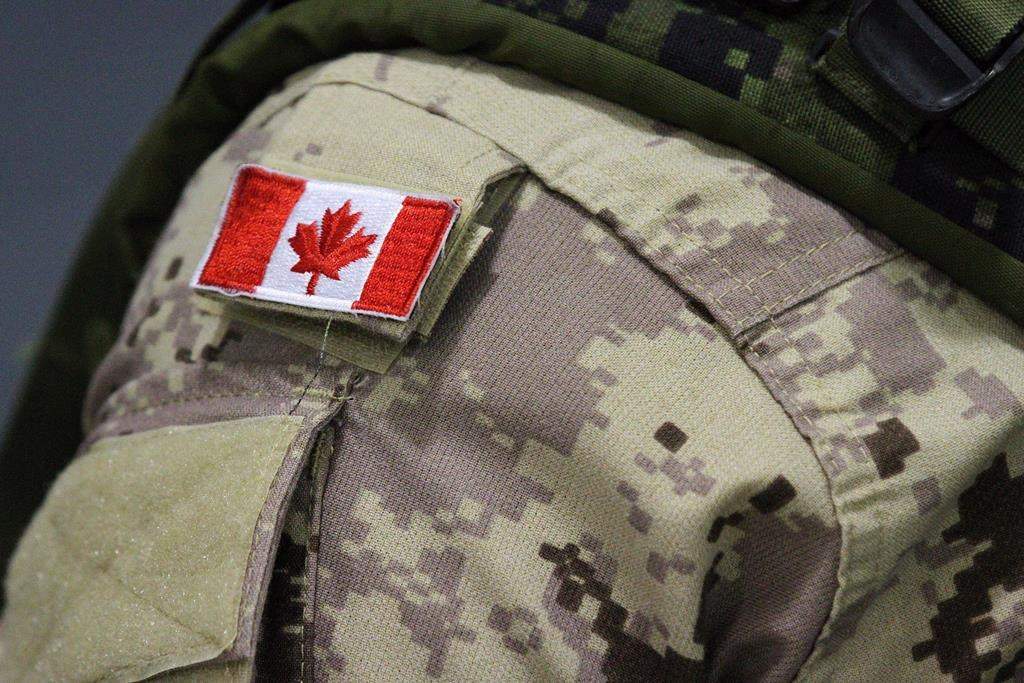 OPP and Canadian Armed Forces members will be training together in the Bancroft, Ont., area this week.