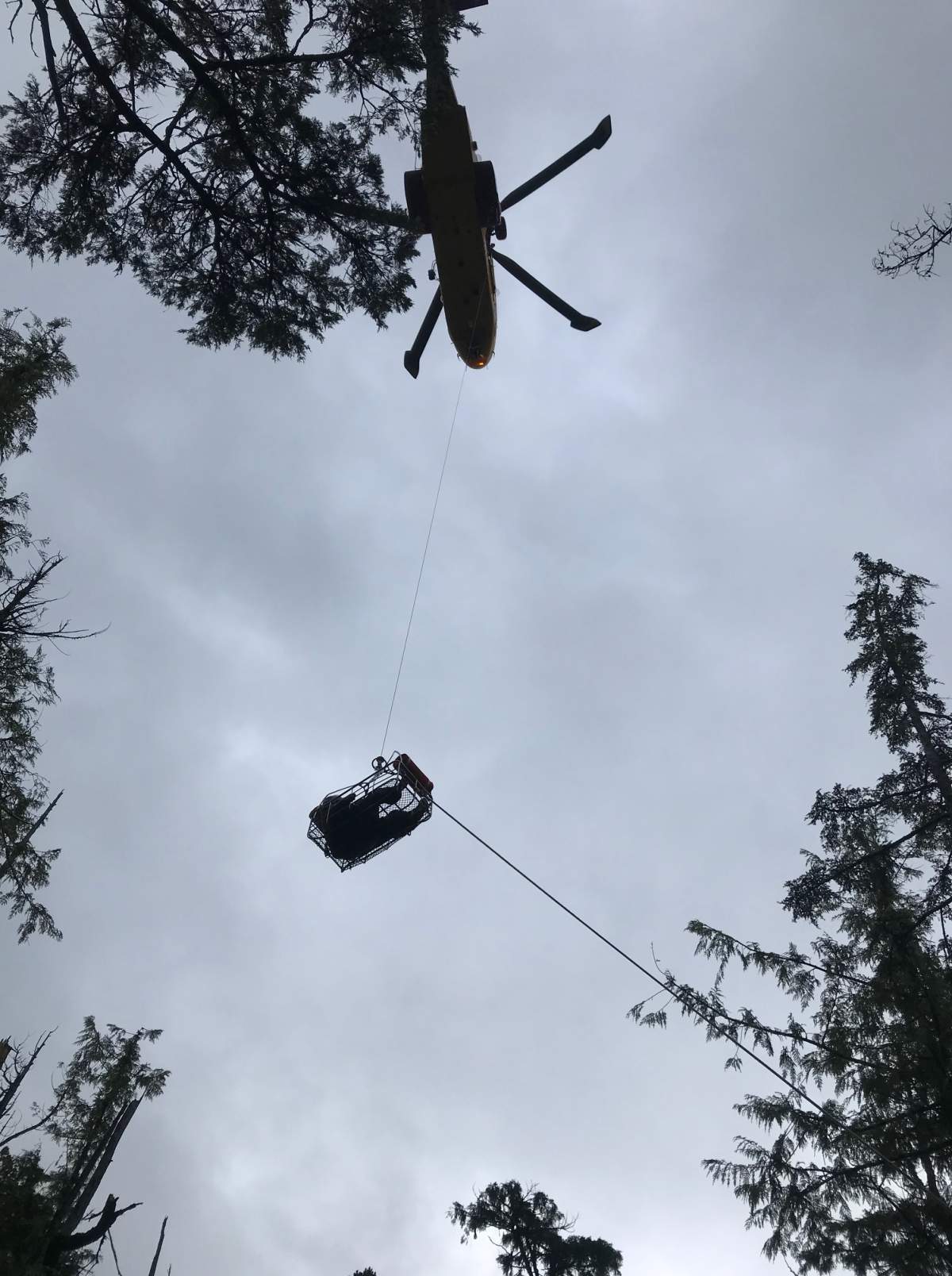 Photo of patient being hoisted up to CH-149 Cormorant.