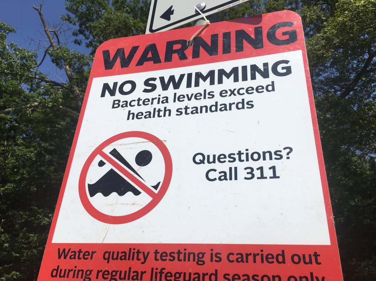Oakfield beach in Halifax closed to swimming due to high bacteria levels - image