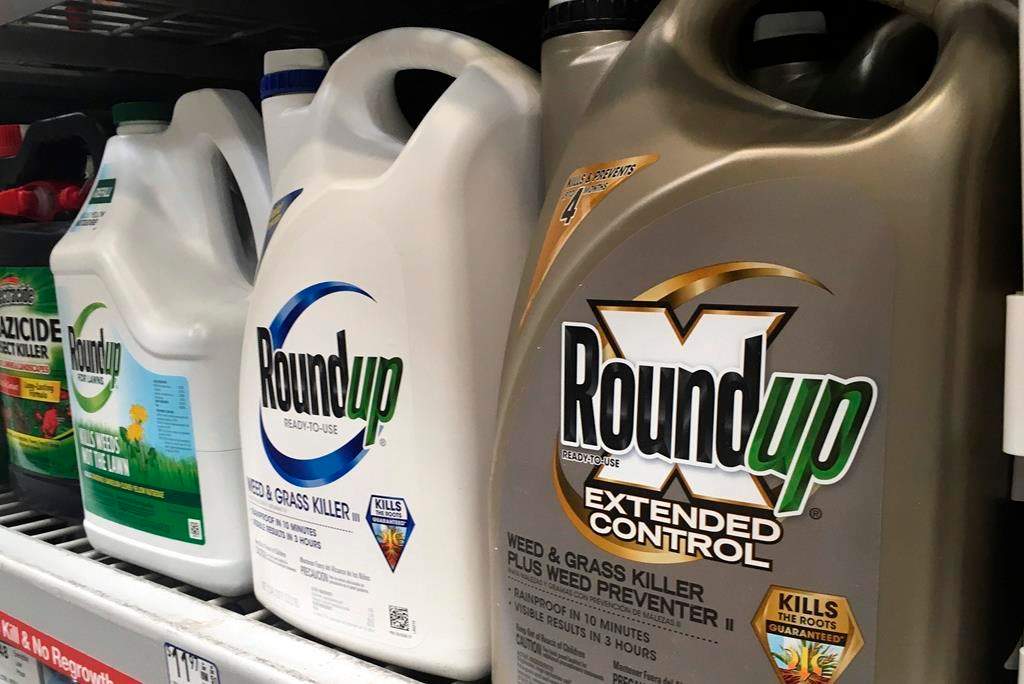 FILE - In this Feb. 24, 2019, file photo, containers of Roundup are displayed on a store shelf in San Francisco.