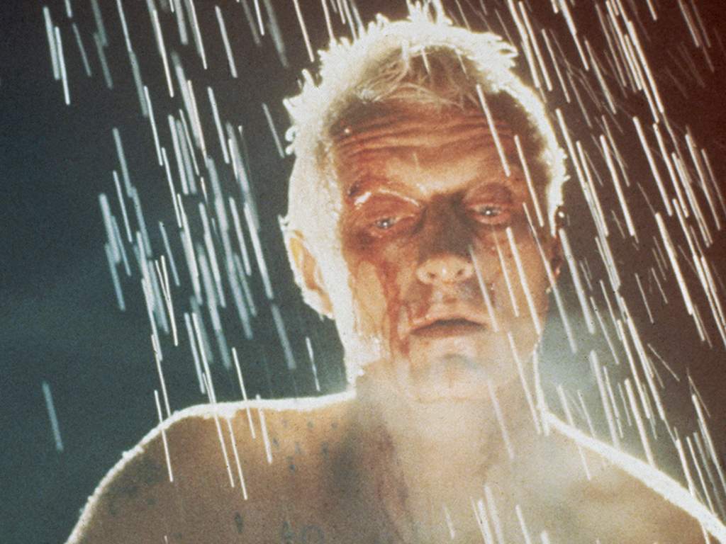 Dutch actor Rutger Hauer, as replicant Roy Batty, in a scene from Ridley Scott's futuristic thriller 'Blade Runner', 1982.