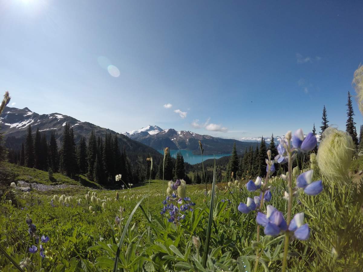 Here’s how much camping in Canada can cost you - image