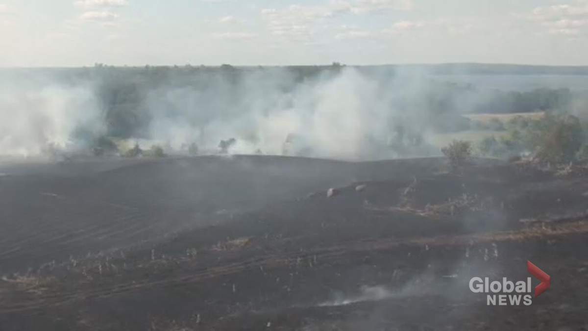 The fire destroyed 50 acres of field.