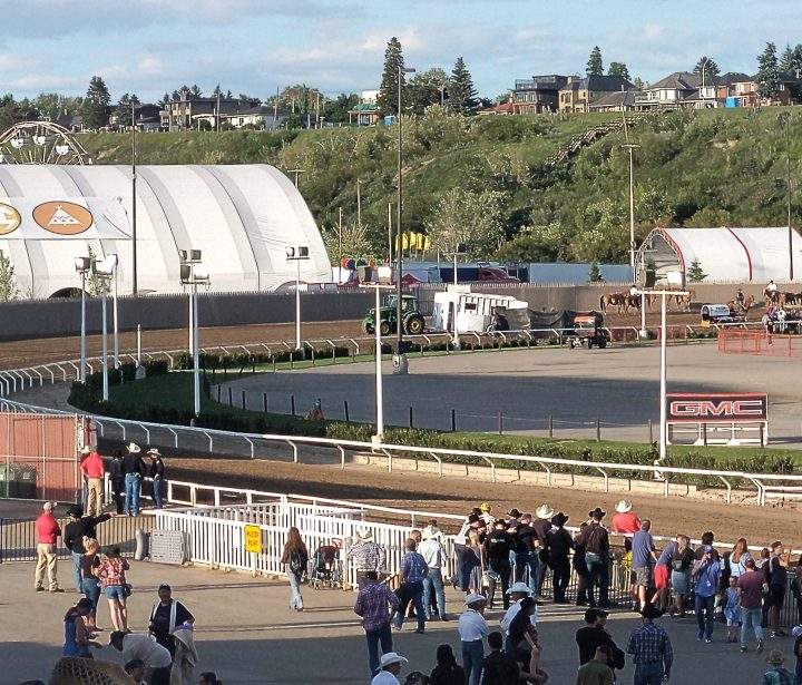 A horse was injured during Calgary Stampede chuckwagon races on Wednesday, July 10, 2019.