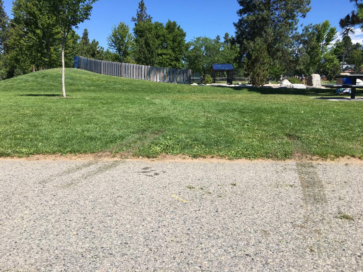 Firefighters were called to a motor vehicle accident near Skaha Beach around 4:30 a.m. Sunday morning. Tire tracks could be seen leading onto the grass. 