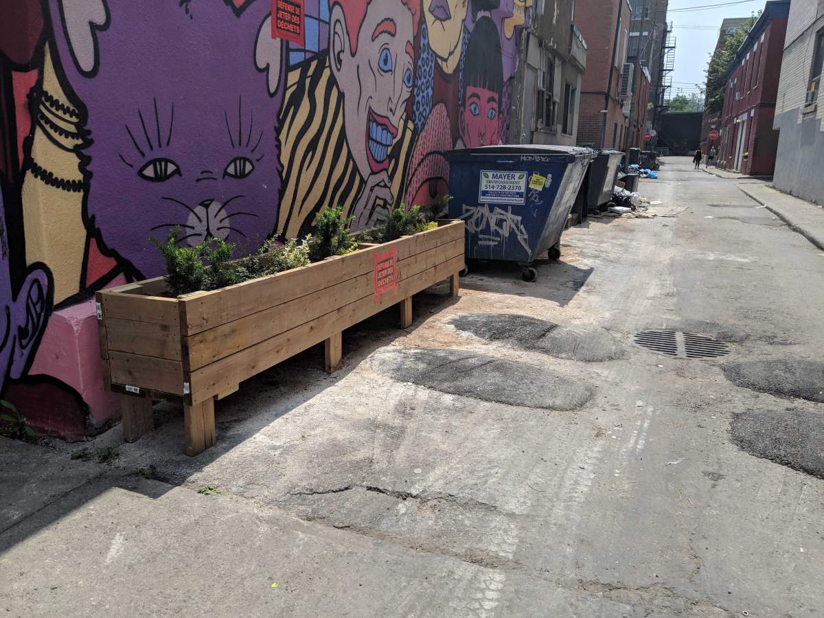 The owners of India Rosa are encouraging their neighbours to stop throwing their trash into the restaurant’s bin.