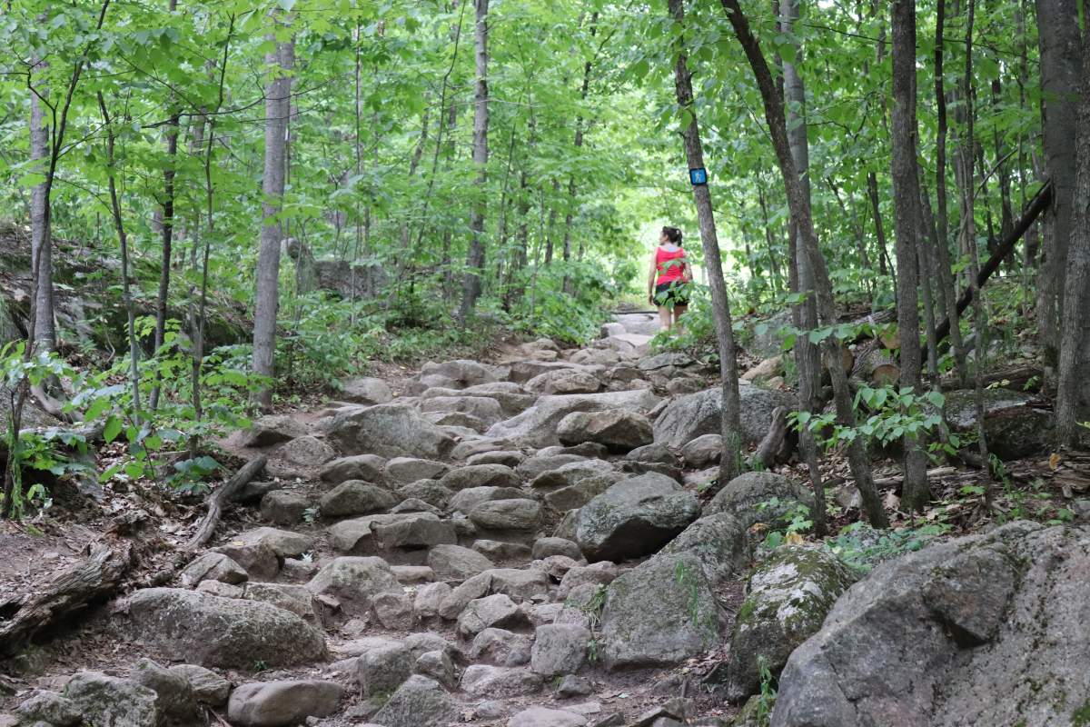 Hiking up the Luskville Falls Trail in Gatineau Park on Saturday, July 27, 2019. Depending on your pace, the hike might take you two to three hours, round trip.