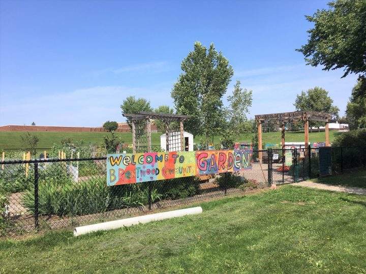 The Brentwood Community Garden in Calgary, Alta.