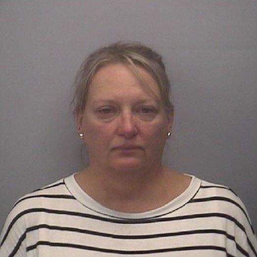 Illinois mom arrested after driving car with kids on roof — in an inflatable pool - image
