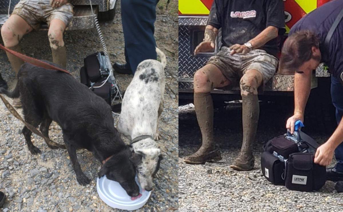 A man was rescued by his two dogs after he found himself stuck knee-deep in mud.