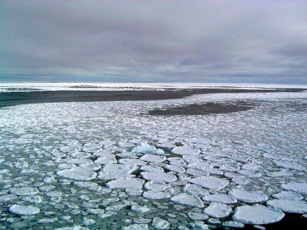 This January 2017 photo provided by Ted Scambos shows sea ice on the ocean surrounding Antarctica during an expedition to the Ross Sea.