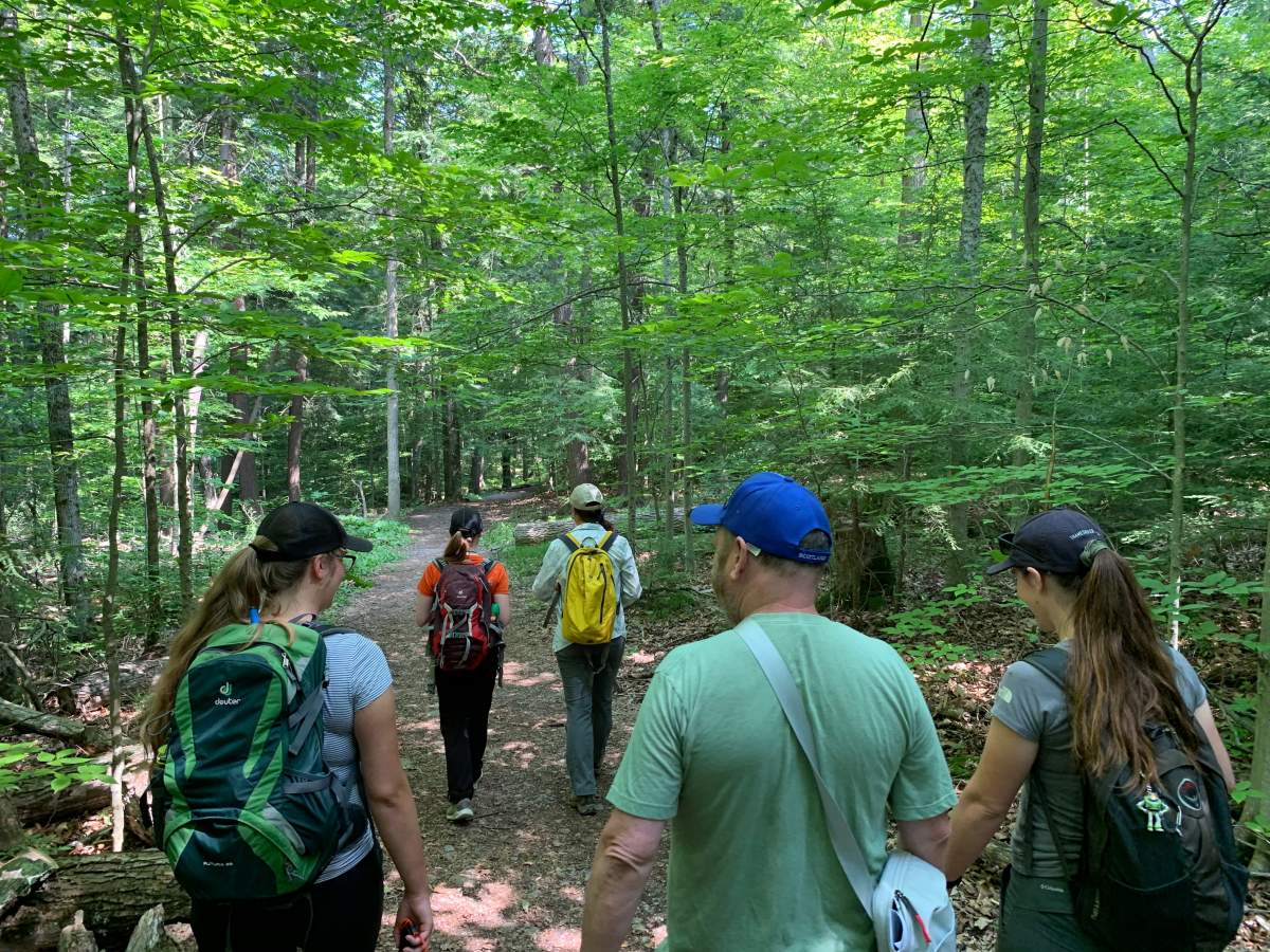 AFER staff and volunteers venture out in Mark S. Burnham Provincial Park in Duoro to study and document trees.
