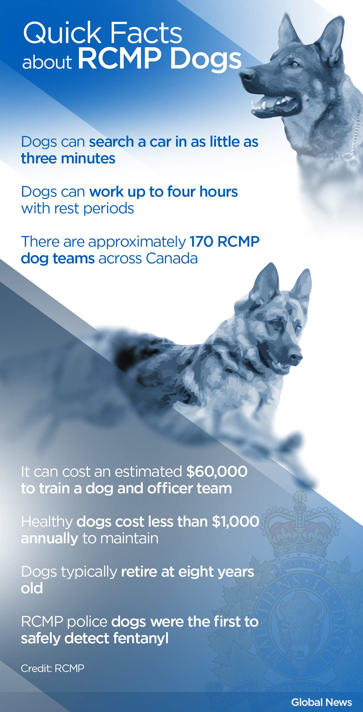 How police dogs help manhunts in places like northern Manitoba - image