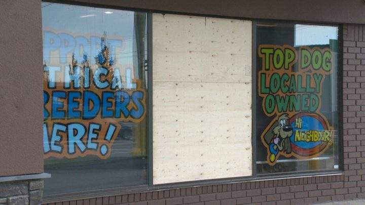 Two puppies were stolen from a Calgary pet store in July.
