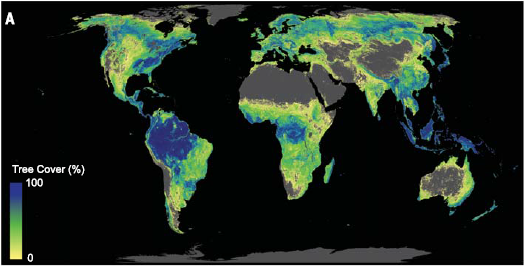 The global potential tree cover, representing an area of 4.4 billion hectares of canopy cover distributed across the world.