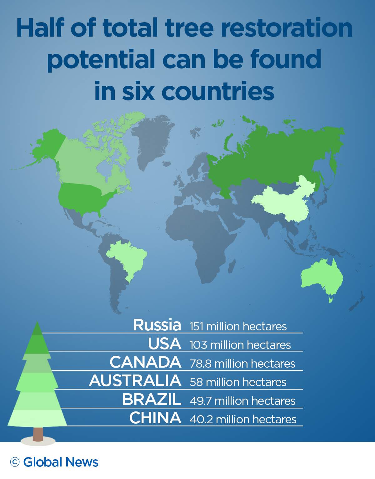 Reality check: Will planting 1 billion hectares of trees slow down climate change? - image