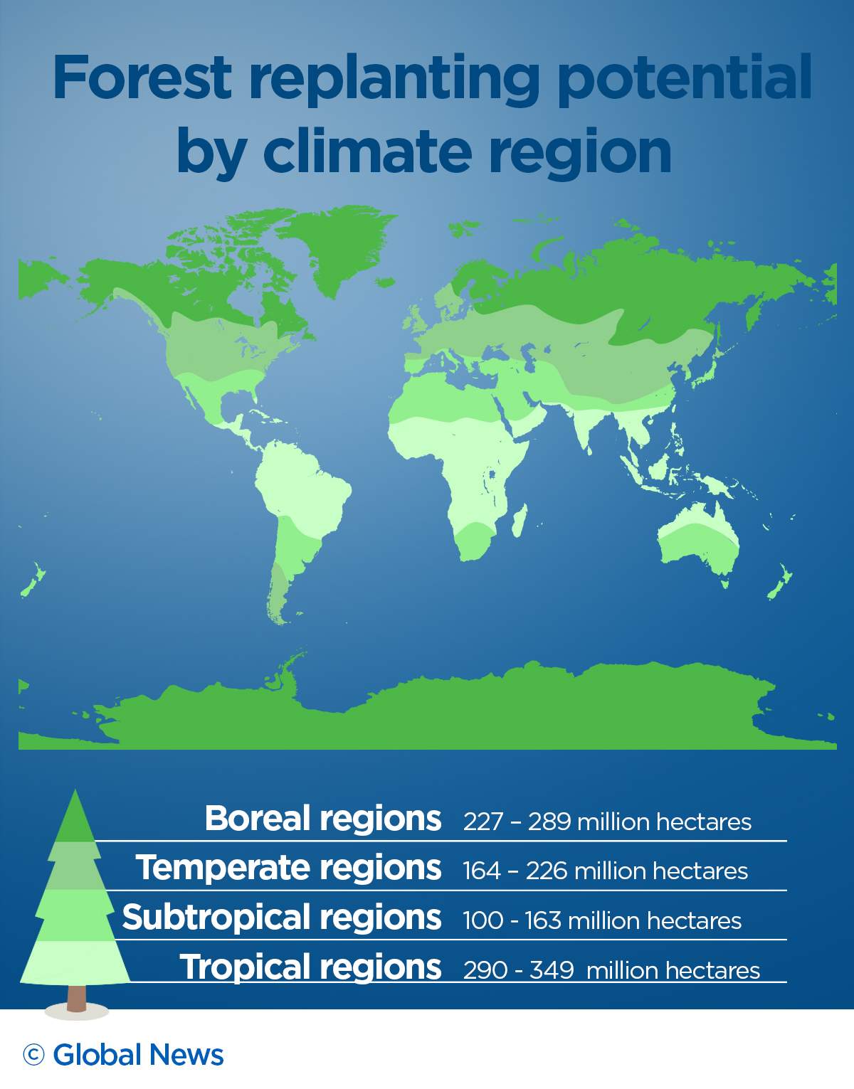 Reality check: Will planting 1 billion hectares of trees slow down climate change? - image