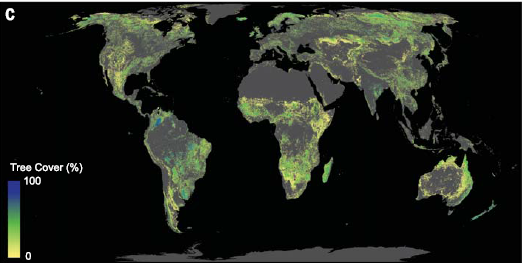 The global potential tree cover available for restoration.