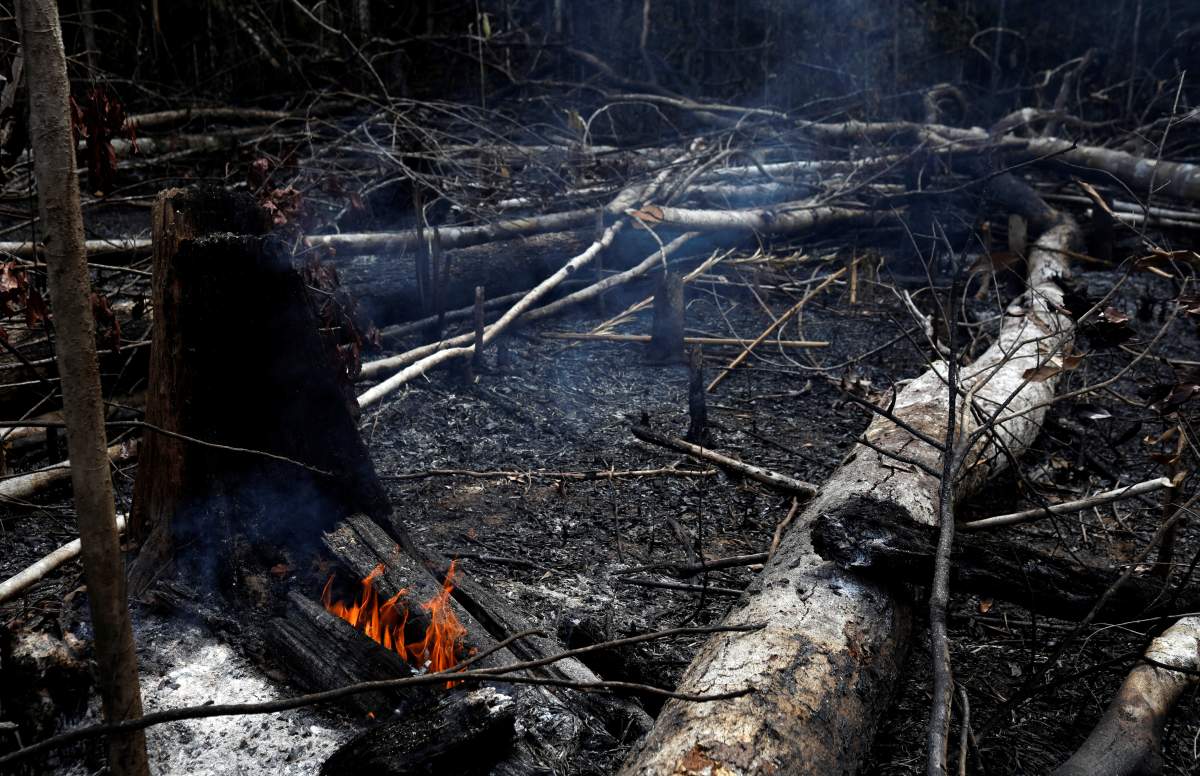 A tract of Amazon jungle burns as it is being cleared by loggers and farmers in Novo Airao, Amazonas state, Brazil August 21, 2019. REUTERS/Bruno Kelly