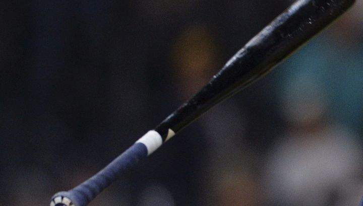 A file photo of a baseball bat is shown. 