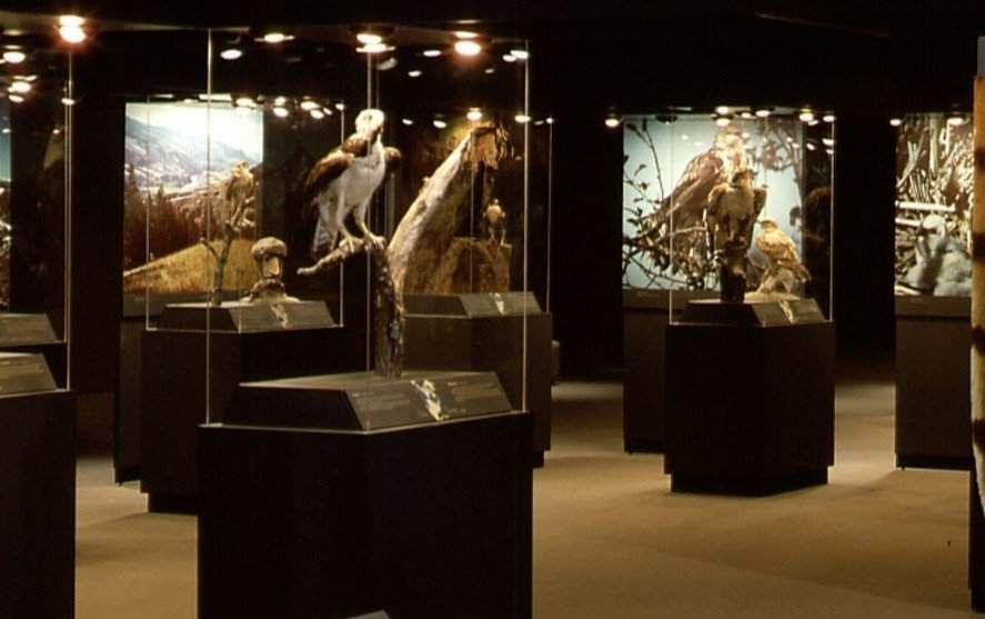 Birds of Prey will open to the public on Sept. 6.