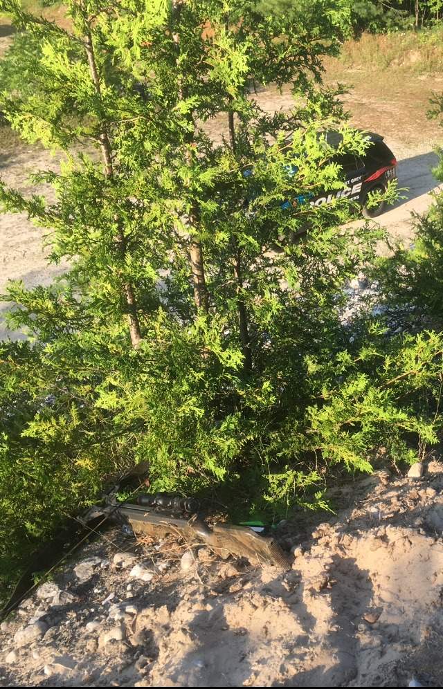 The crossbow allegedly used to shoot at a female sits in the bushes on top of a hill, where police say they found the accused.