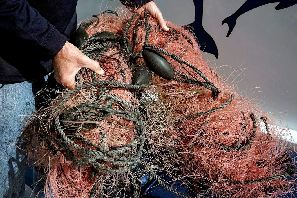 Capt. David Anderson, of Captain Dave's Dolphin and Whale Watching Safari, in Dana Point, Calif., shows a net that a whale was found entangled in Monday, Nov. 30, 2015. THE CANADIAN PRESS/AP-Christine Armario.