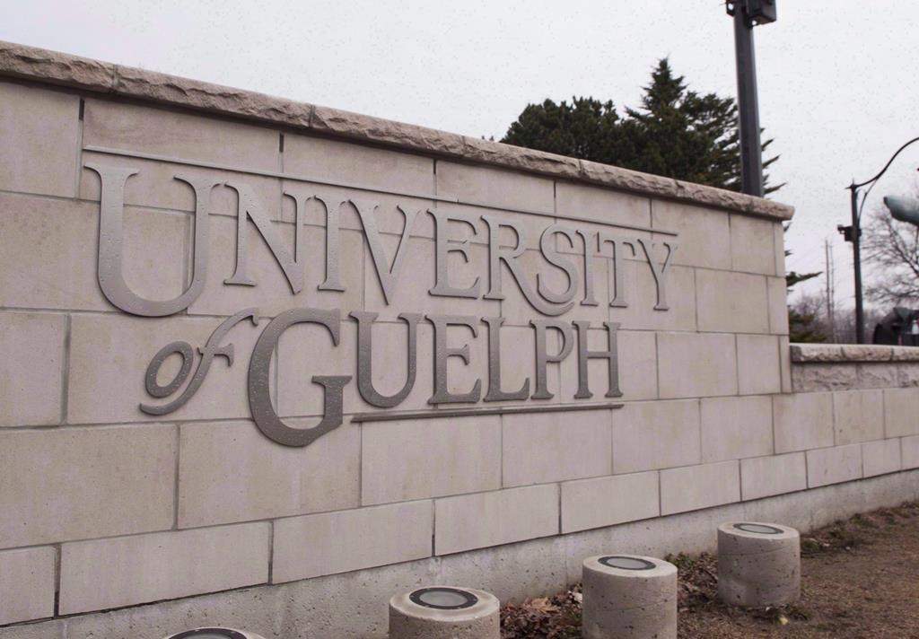 A newly published University of Guelph study has found that the wage gap between men and women with PhDs has closed. The University of Guelph in Guelph, Ont., is shown on Friday, March 24, 2017. Published in the journal "Higher Education Policy," the study entailed analyzing data from Statistics Canada's sweeping 2013 National Graduates Survey, which surveyed trades, college and university graduates three years after graduation. THE CANADIAN PRESS/Hannah Yoon.
