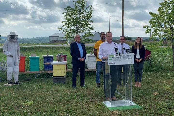 The announcement of the funding commitment came on Wednesday morning in Innisfil, Ont.