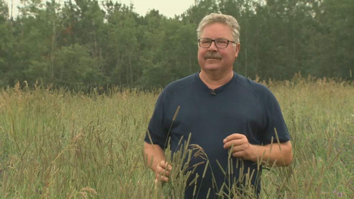 Hobby farmer Don Kurach in his field near Stony Plain, Alta. west of Edmonton on Friday, August 2, 2019.