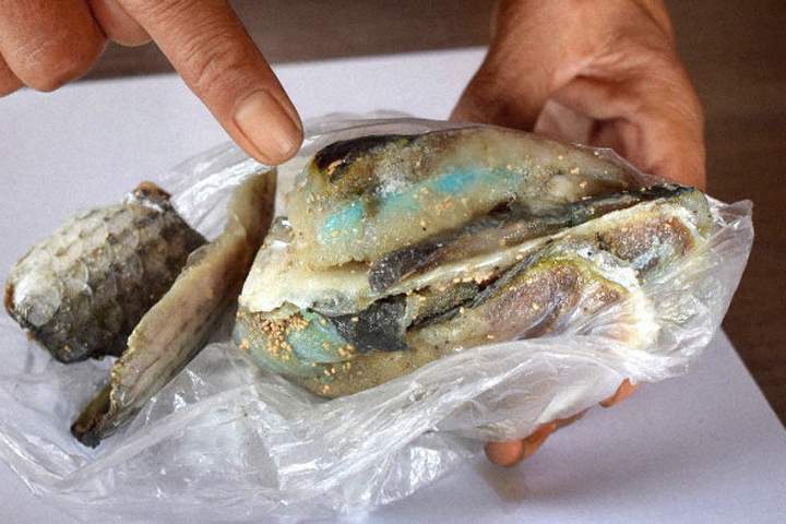A cut of fish laced with a blue substance is shown on the Japanese island of Umashima.