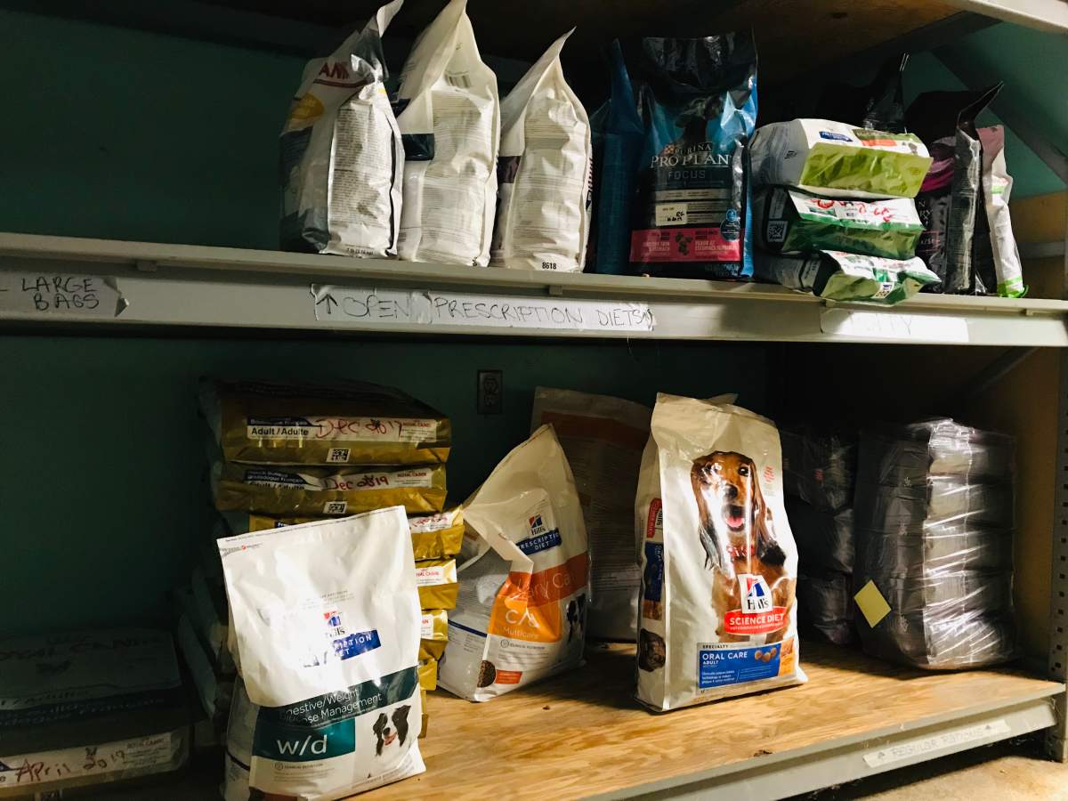 Humane Society London and Middlesex is in urgent need of pet food to support the 200-250 animals who call the shelter home. 