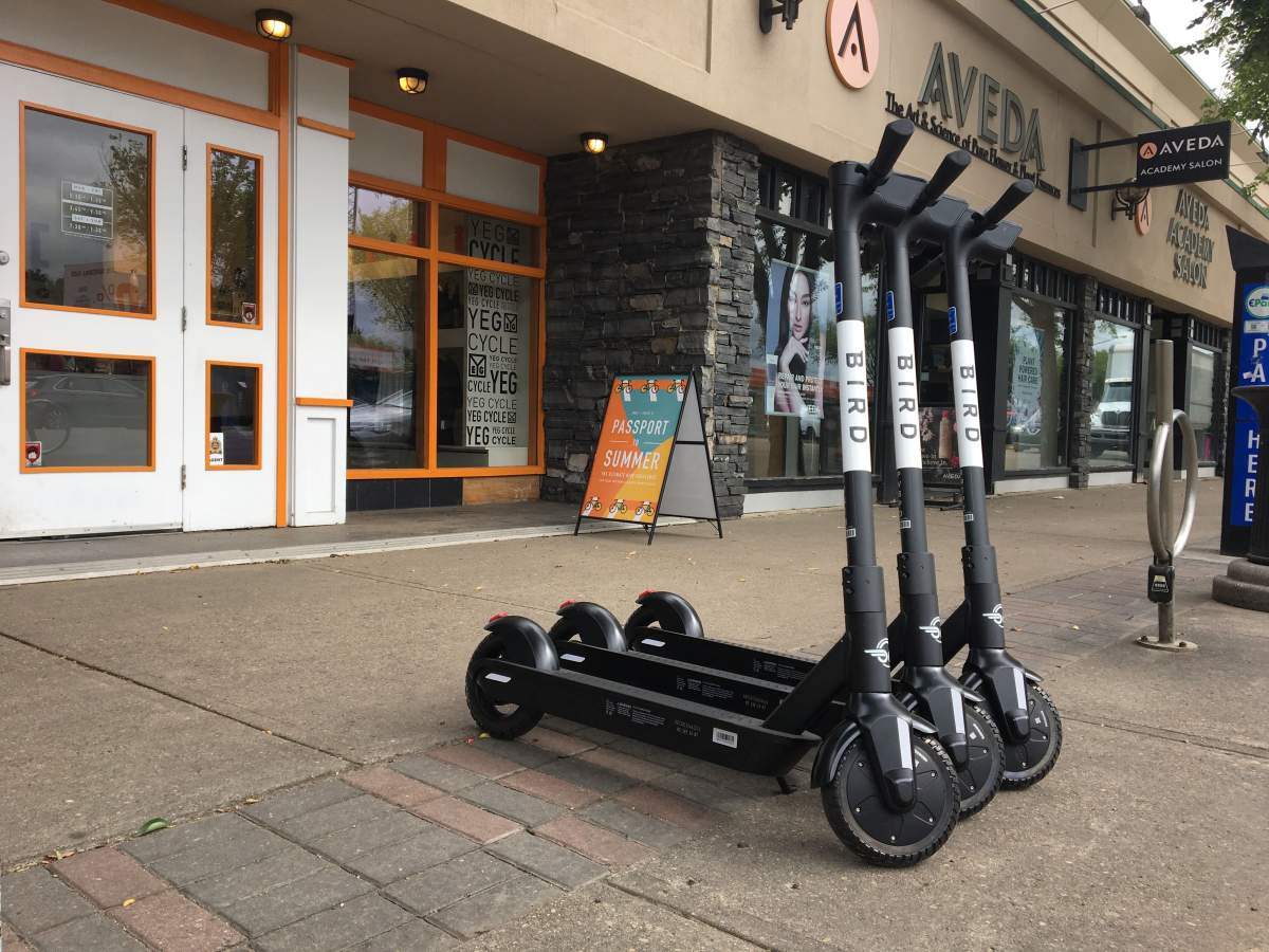 Bird e-scooters spotted on Whyte Avenue near 106 Street in Edmonton’s Old Strathcona area on Friday, Aug. 16, 2019.