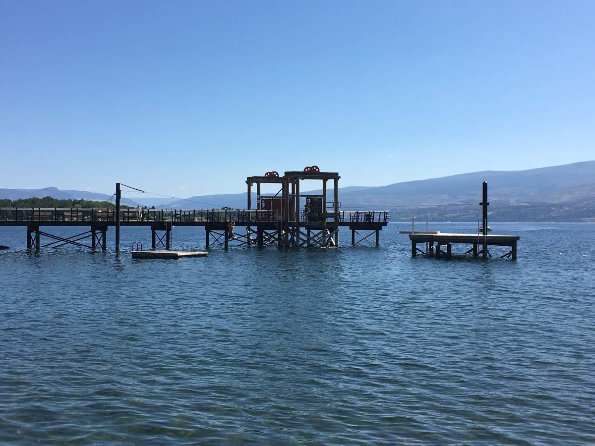Police said the teen jumped from the ferry wharf dock in Gellatly Bay but never re-surfaced.