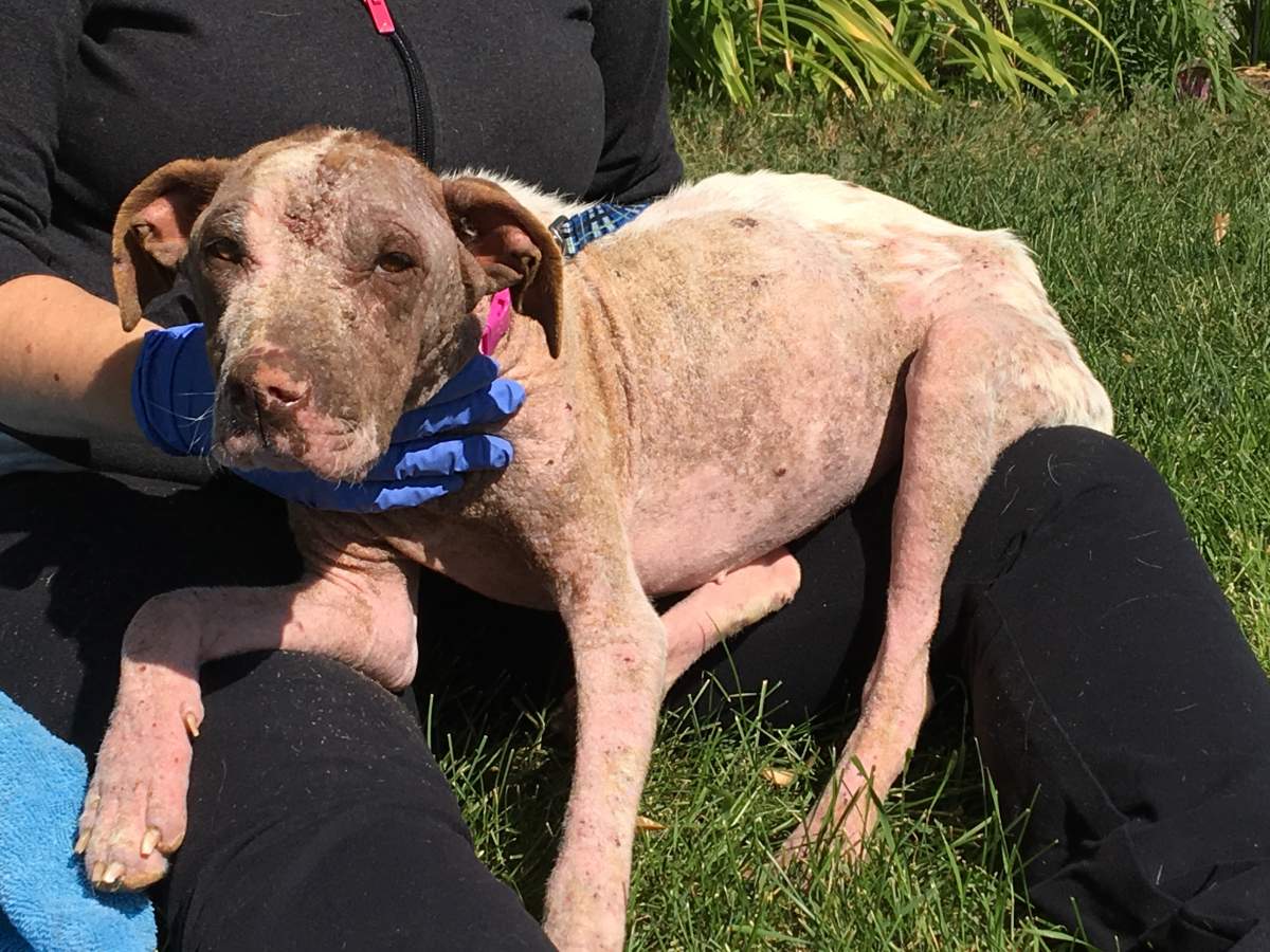 Miracle being held by her foster Jenn Hurst.
