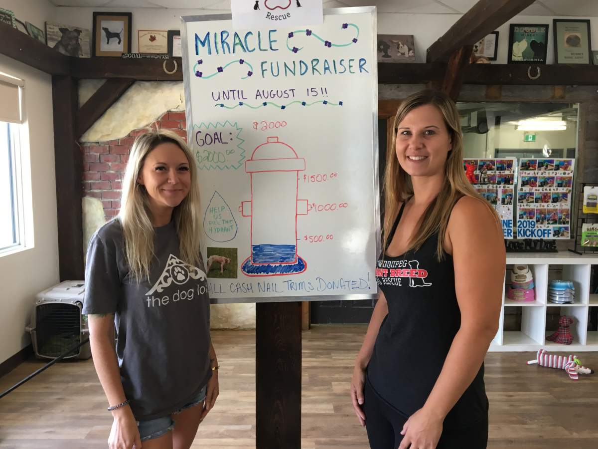 Katie Heinrichs, owner of The Dog Loft Inc. (left), and Misty Titterton, co-director of the Winnipeg Giant Breed Rescue.