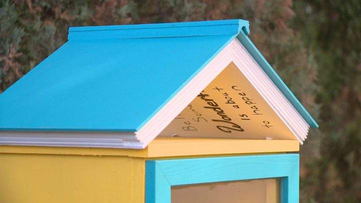 Little Free Library in City Park.