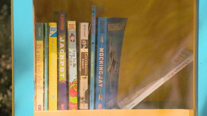 People donate gently used books to READ and they circulate them.