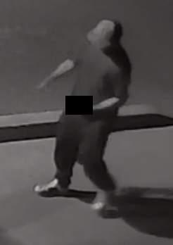 Police in Lindsay seek man allegedly exposing himself to women at night - image