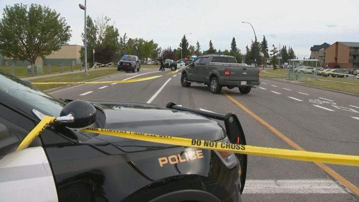 A pedestrian was hit by a vehicle in northeast Calgary on Saturday, Aug. 17, 2019.