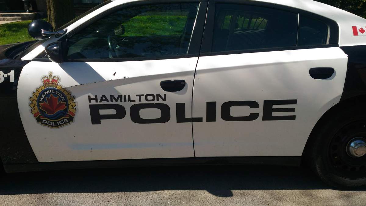 Police are looking for a group of males after a reported stabbing early Wednesday in the Westdale area.
