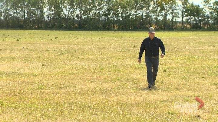 In December 2020, the federal government announced the strengthened climate plan, which includes a target to reduce greenhouse gas emissions from fertilizer application by 30 per cent from 2020 levels by 2030.