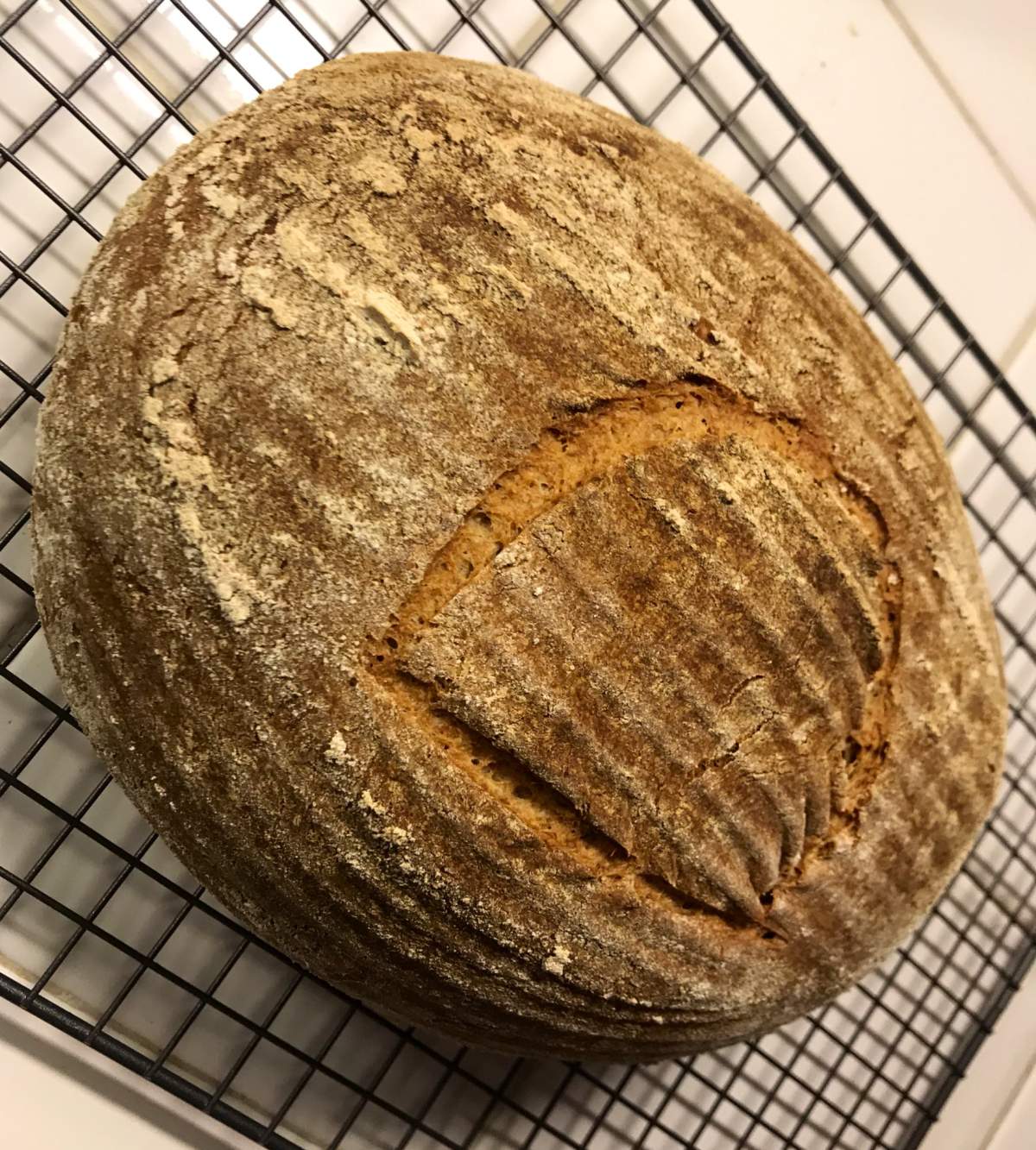 A loaf of sourdough baked with 4,500-year-old yeast from Egypt is shown.