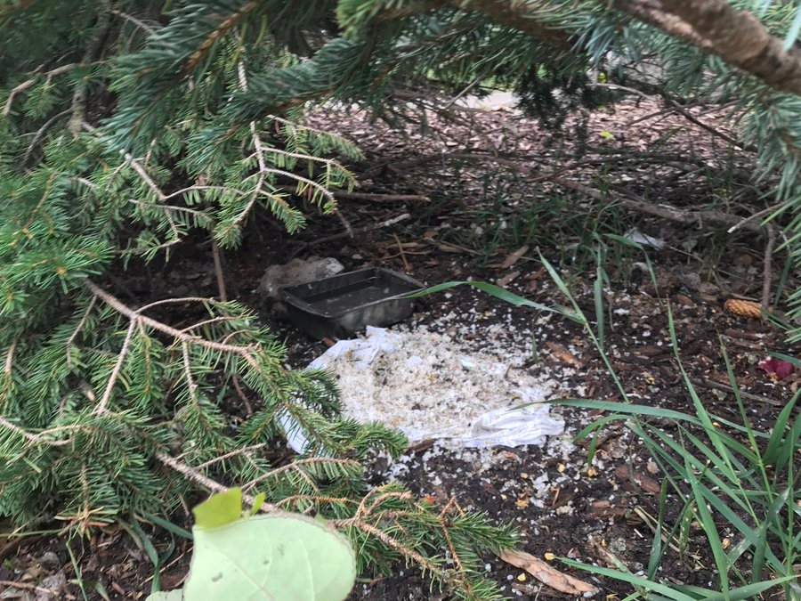 Police investigate suspicious piles of food being left out in northwest Calgary.