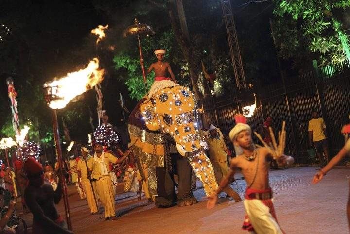 In this Monday, Aug. 19, 2013 photo, a decorated elephant is paraded during an annual Buddhist procession in Kandy, Sri Lanka.