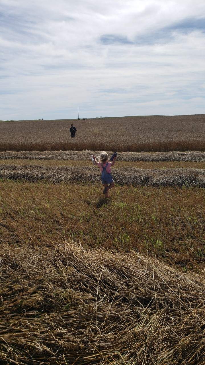 The September 20 Your Saskatchewan photo was taken by Jina Molnar near Melville.